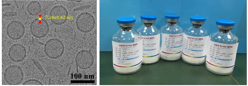 新药进展 | 弘亮（上海）生物医药科技有限公司1类抗肿瘤新药注射用HLN601脂质体获批进入临床研究